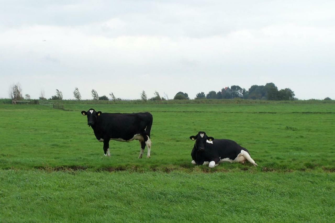 Vakantiehuis De Pondok Gaastmeer Esterno foto